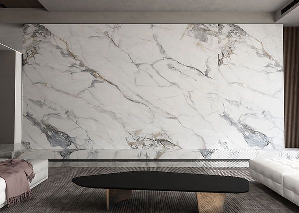 White Marbled Wall