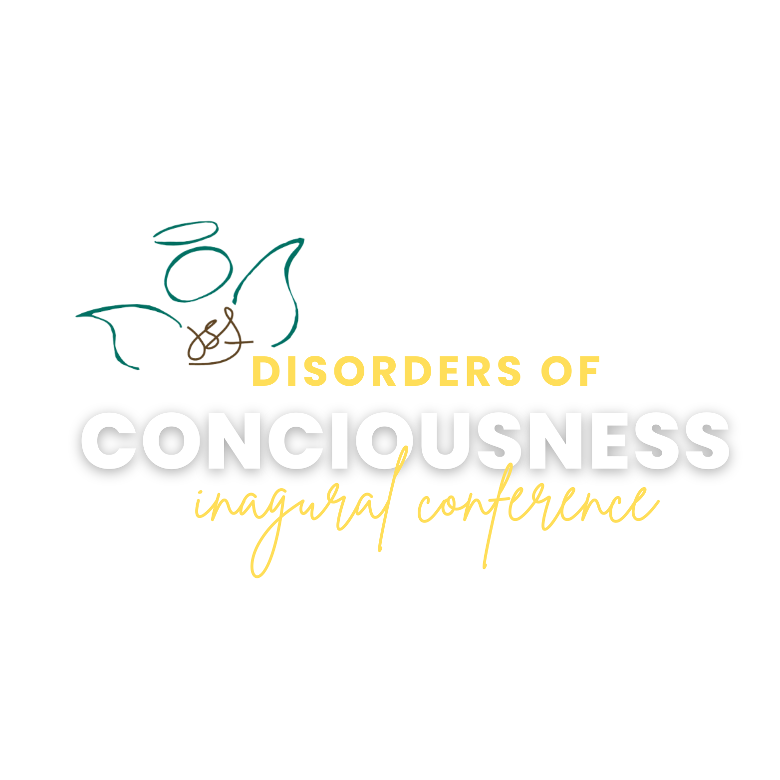 Disorders of Consciousness Conference