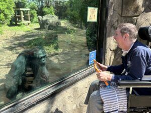 long-term care resident in a wheelchair is looking at a chimpanzee through a glass window.