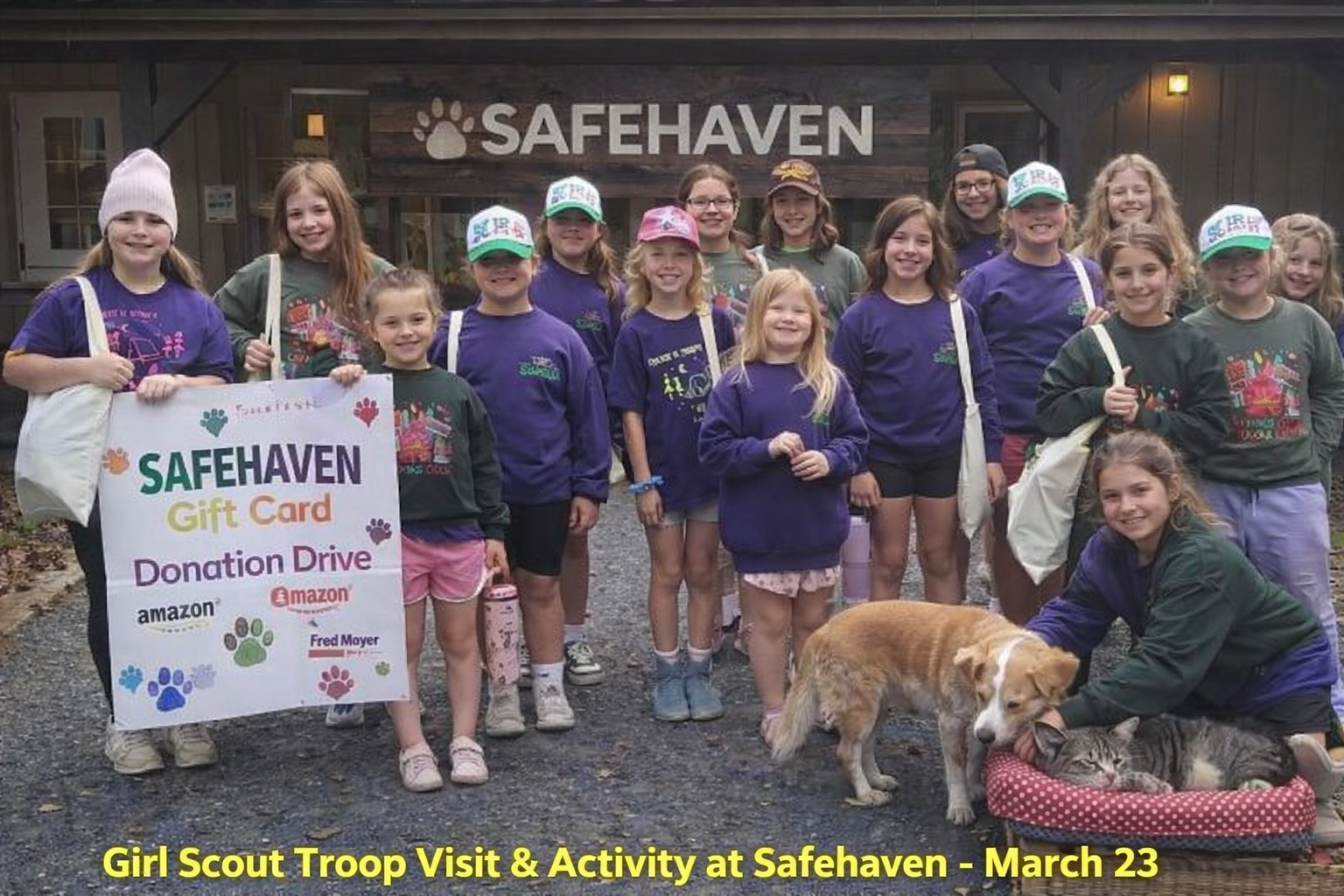 Girl Scout Troop Visit & Activity at Safehaven
