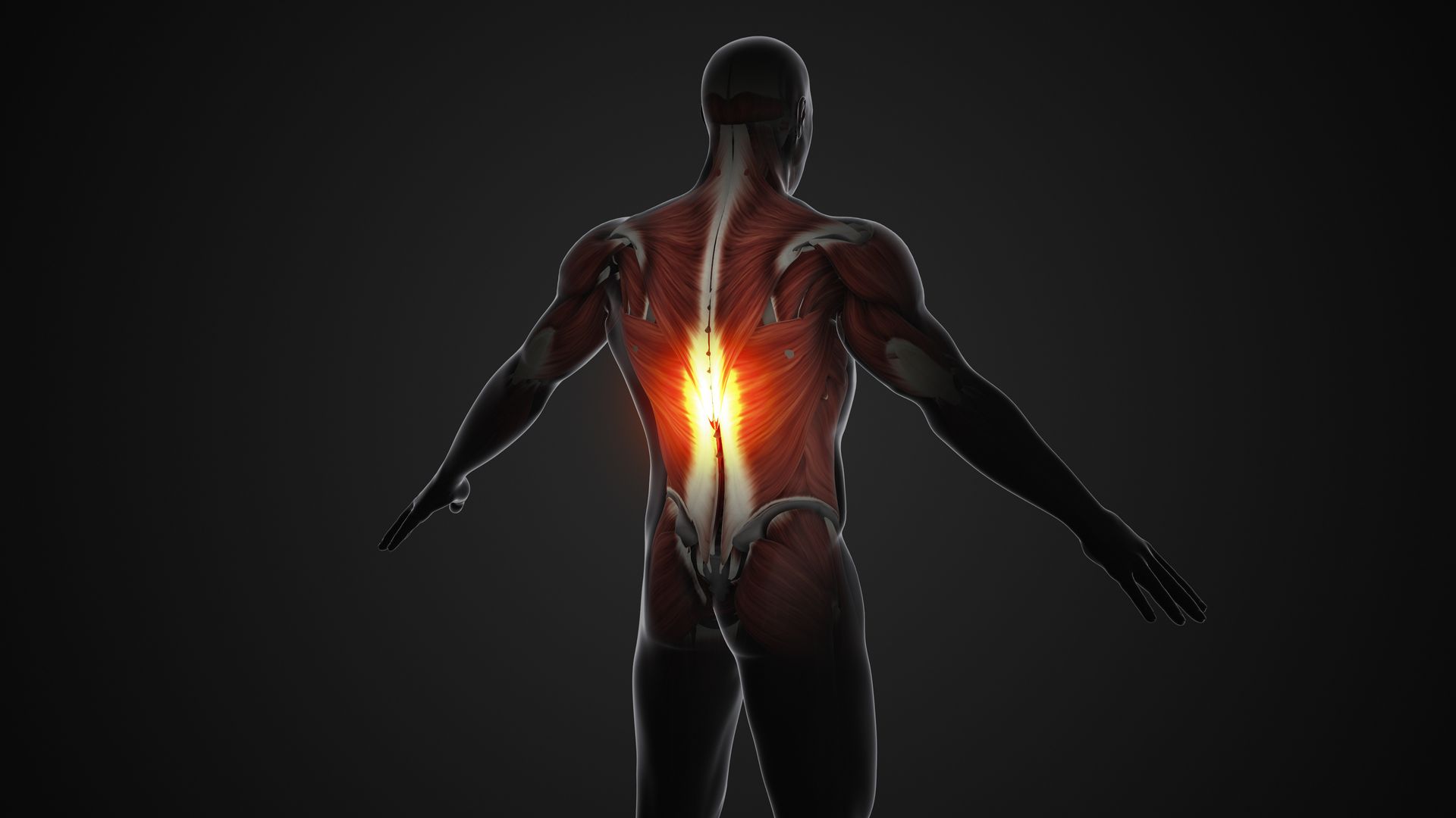 An anatomical back view of a muscular figure with a glowing, bright orange light highlighting the lower spine and muscles.