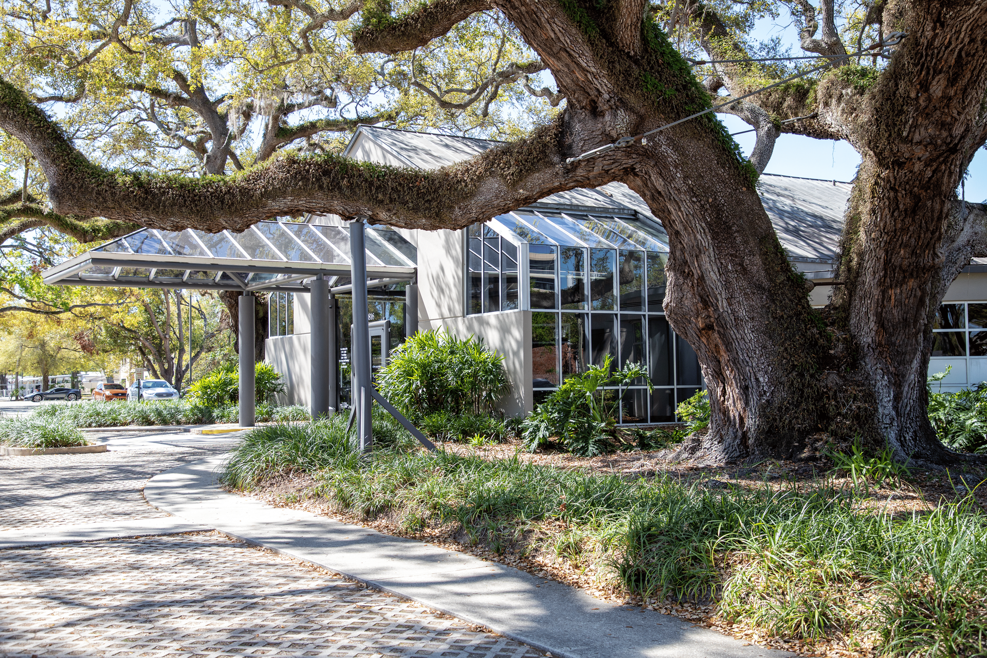 There is a large tree in front of a building.