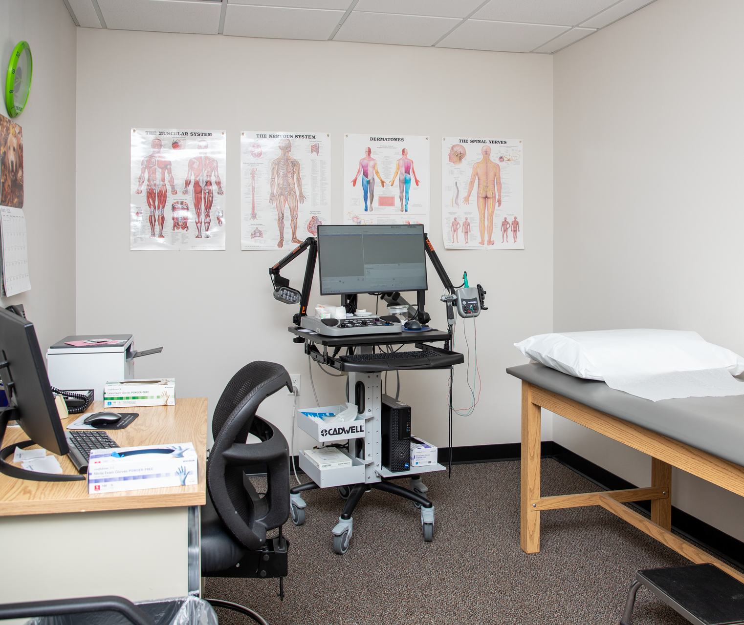 neurological specialties office in tampa, fl