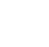 Neurological Specialties logo emblem with the letters 