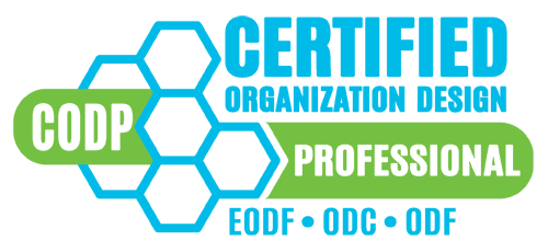 Certified Organisation Design Professional CODP® - Hannes Alton, einer von weltweit rund 200 zertifizierten Organisationsdesign-Experten