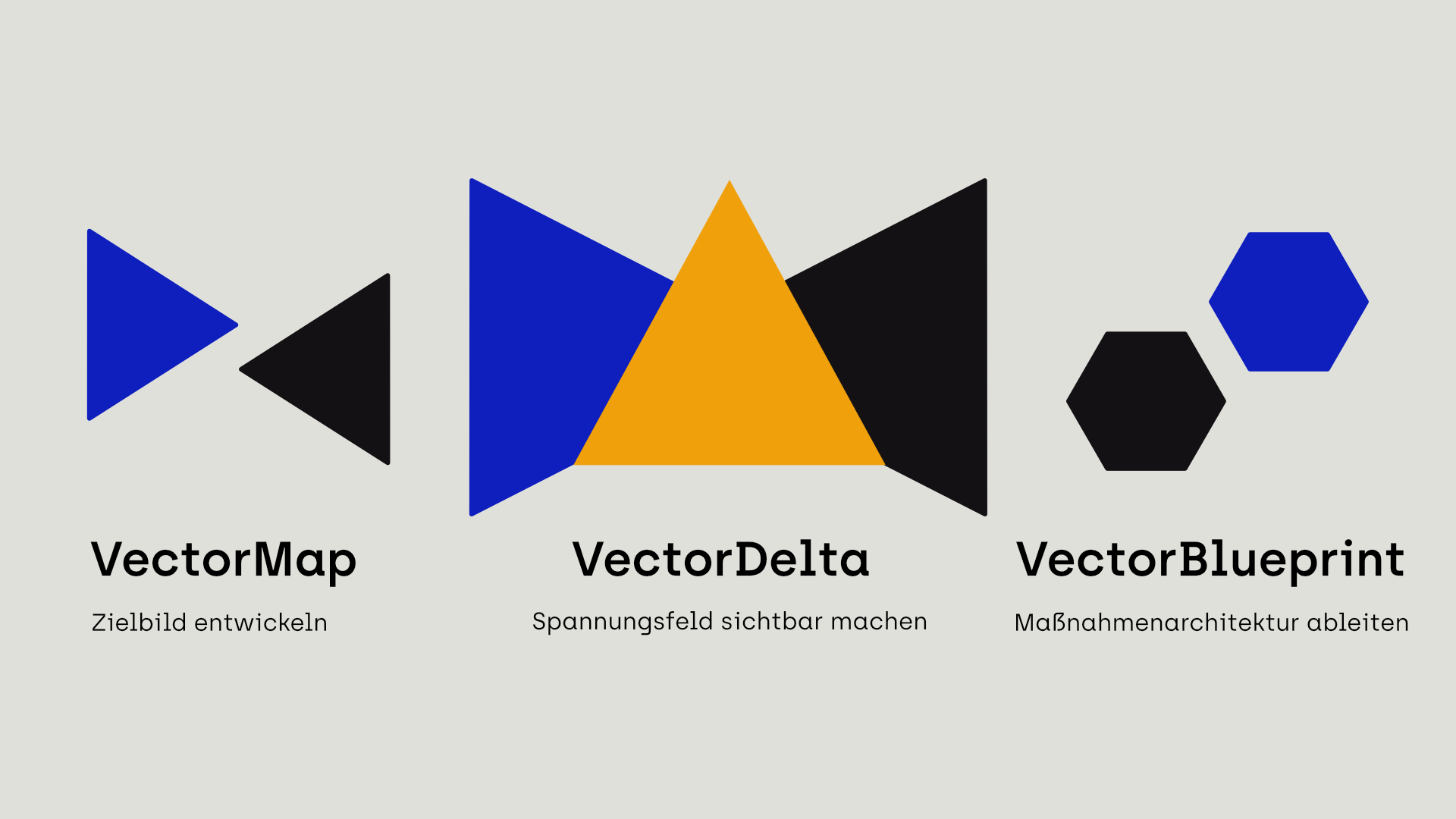 Vector³ diagnostisches Framework - VectorMap, VectorDelta, VectorBlueprint - drei Phasen der Organisationsdiagnose von Hannes Alton