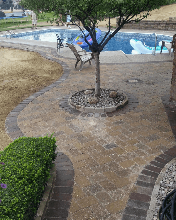 A tree in the middle of a patio next to a pool