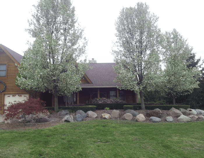 A house with a porch and trees in front of it