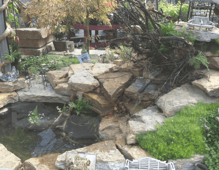A small pond surrounded by rocks and plants