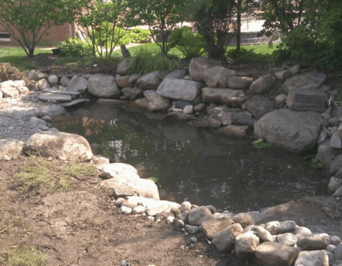 A pond surrounded by rocks and grass with trees in the background