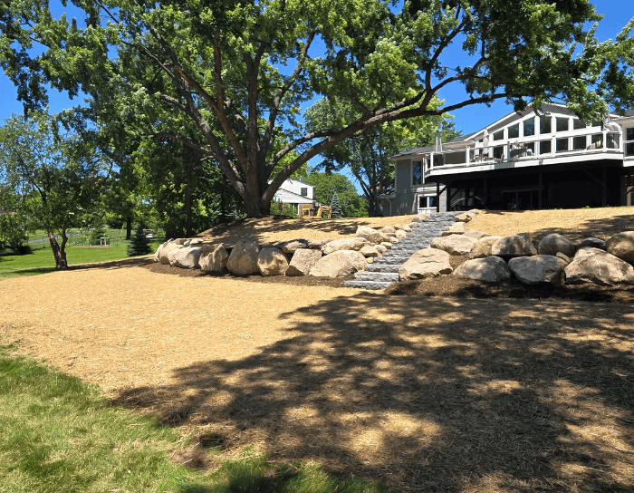 A house with a large tree in front of it