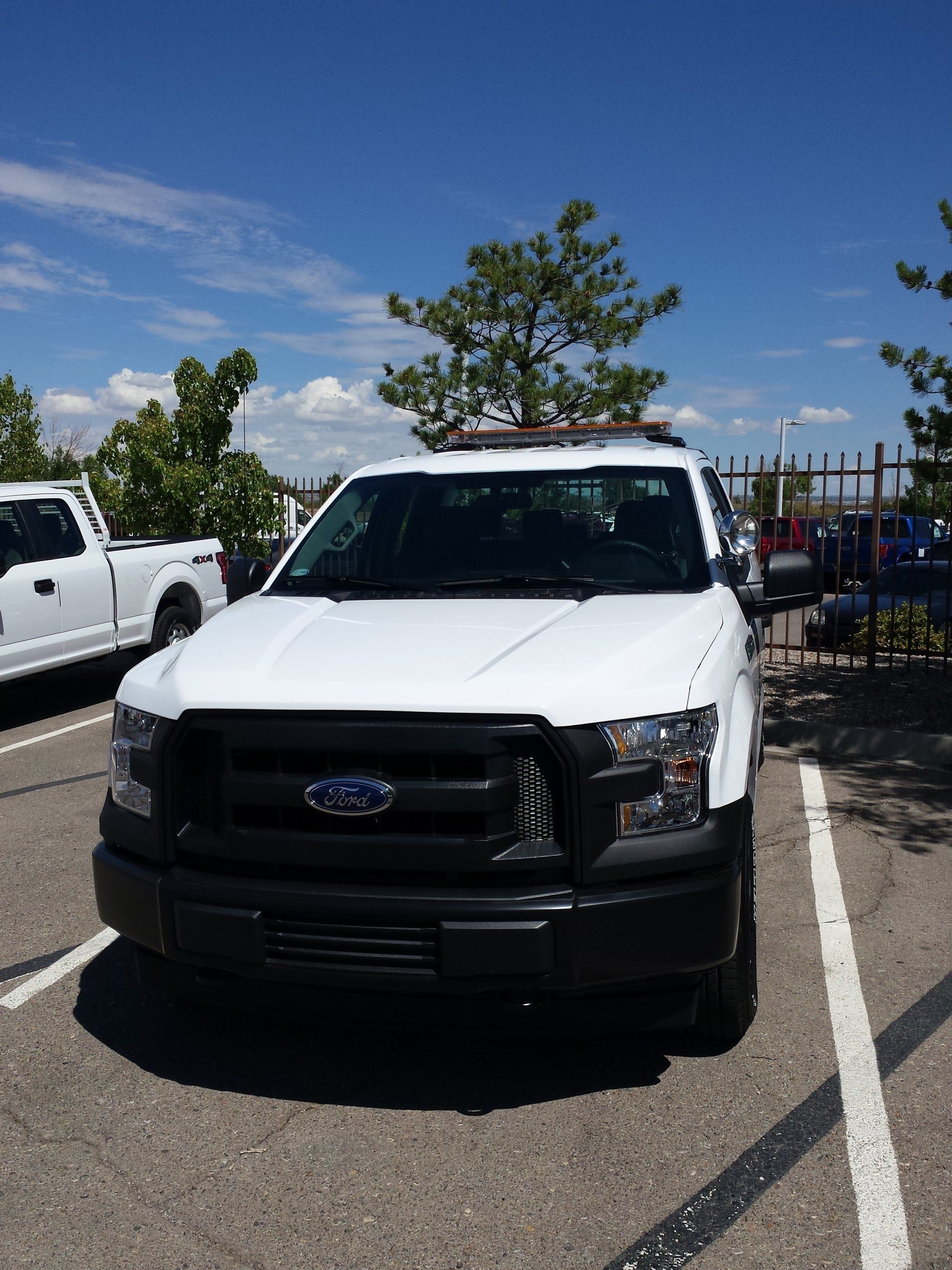 White Ford F-150 truck parked in a lot on a sunny day. Black grill and bumper.