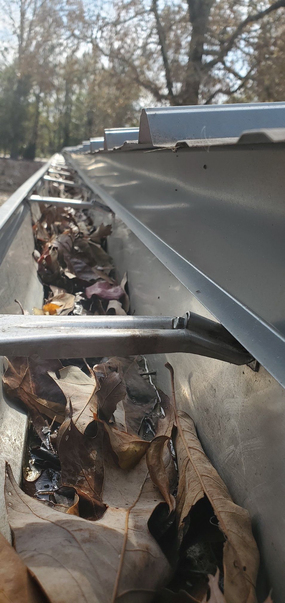 A close up of a gutter filled with leaves and water.