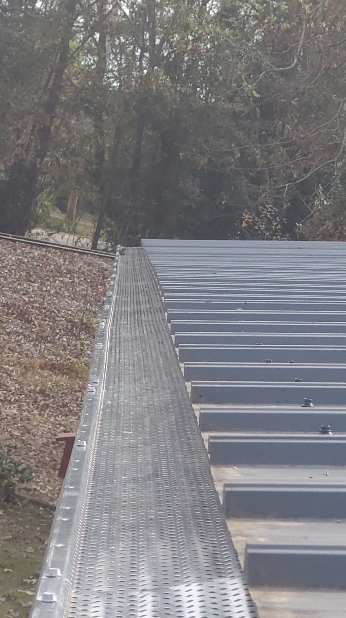 A row of stairs leading up to a forest with trees in the background.