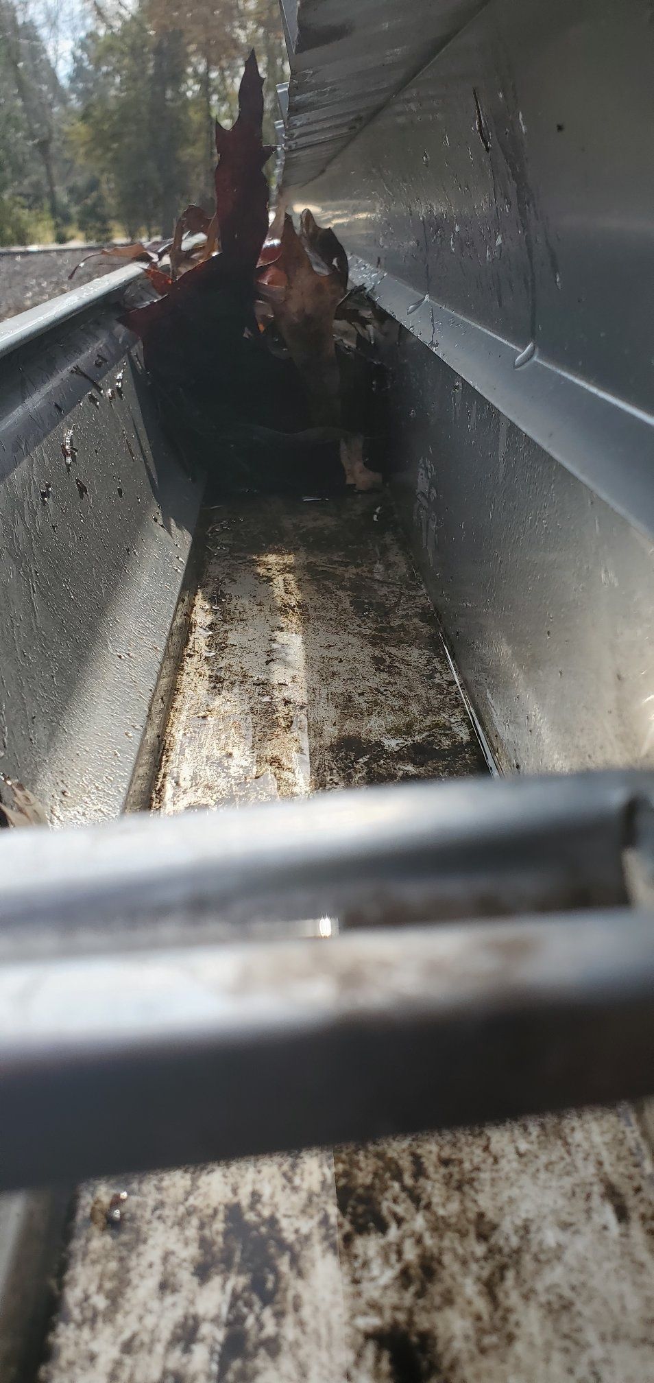 A white house with a gray roof is sitting on top of a lush green field.