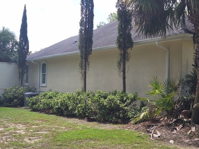 A house with a lot of bushes and trees in front of it.