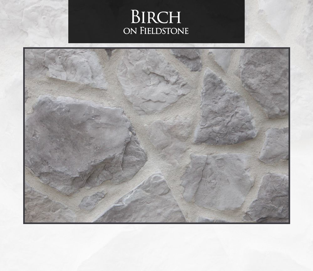 Birch on fieldstone: Gray stone wall with light mortar, rough texture.
