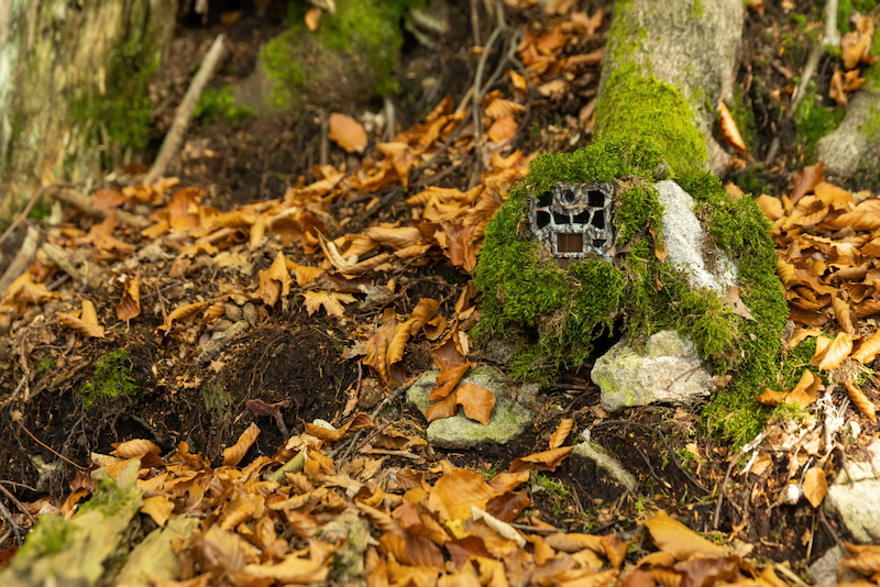 Citizen Science Camera Trap