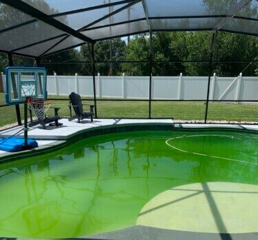 A green swimming pool with a basketball hoop in the background