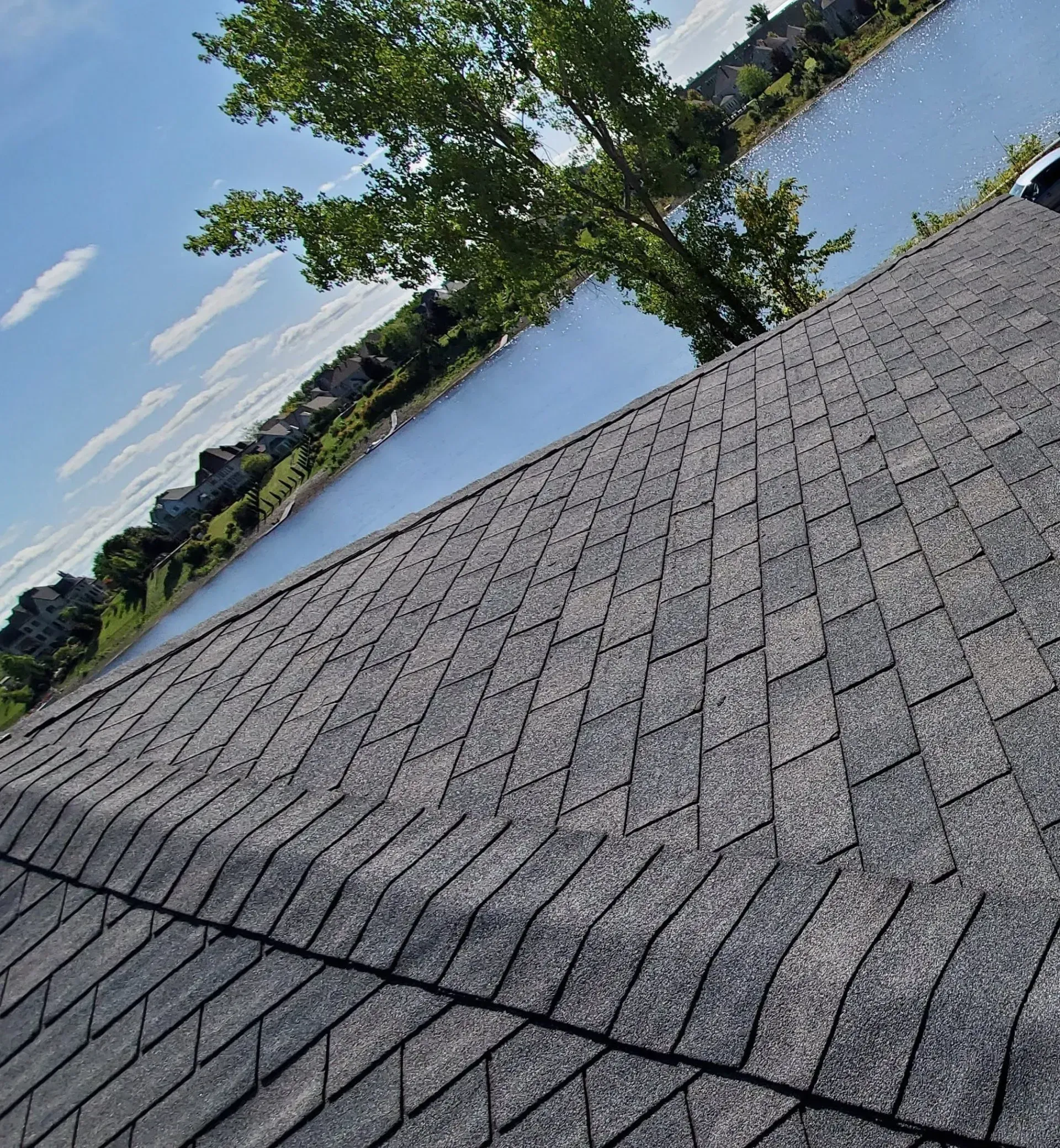 Un toit avec un lac en arrière-plan et un arbre au premier plan.