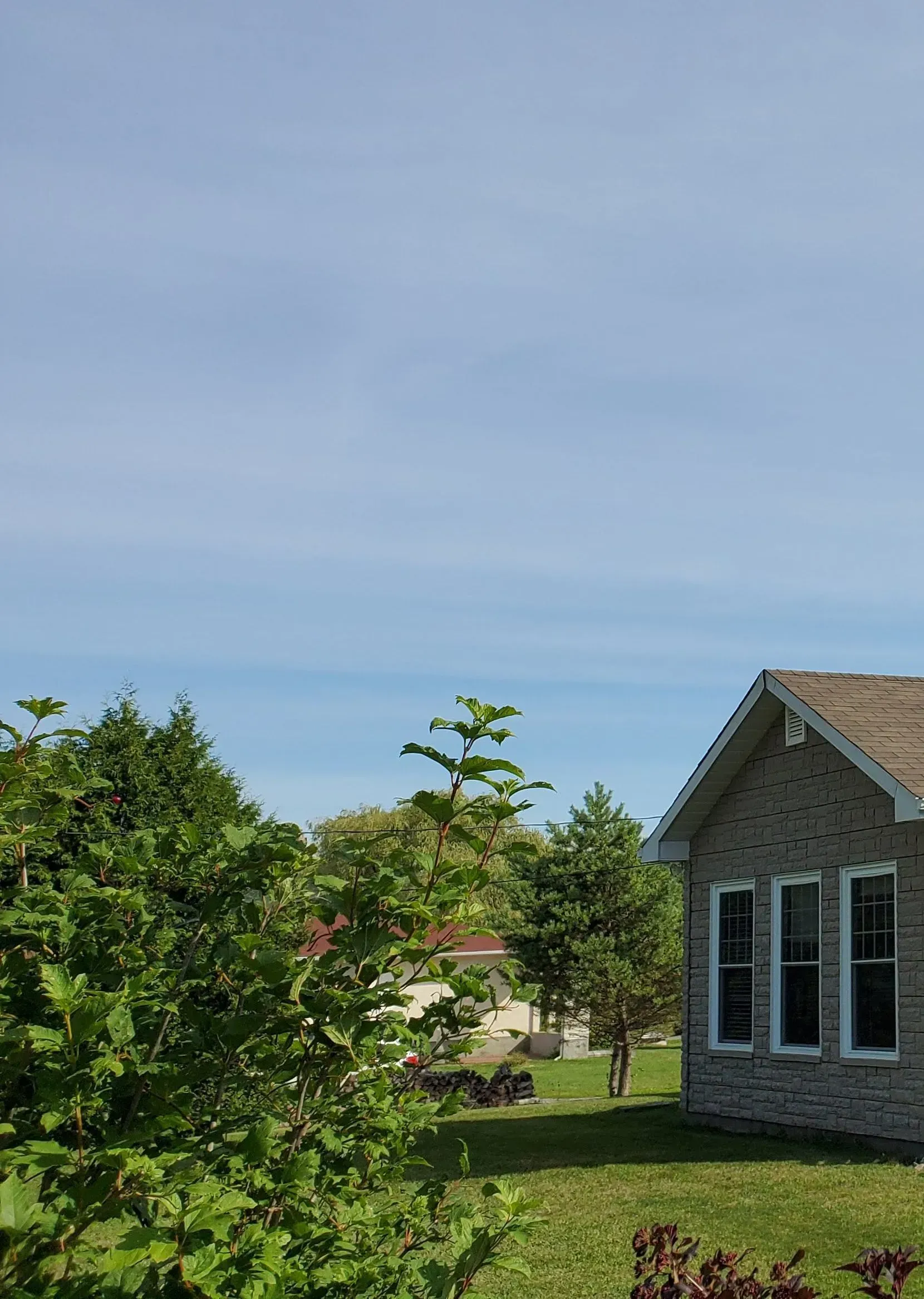 Une petite maison est entourée d'arbres et de buissons par une journée ensoleillée.