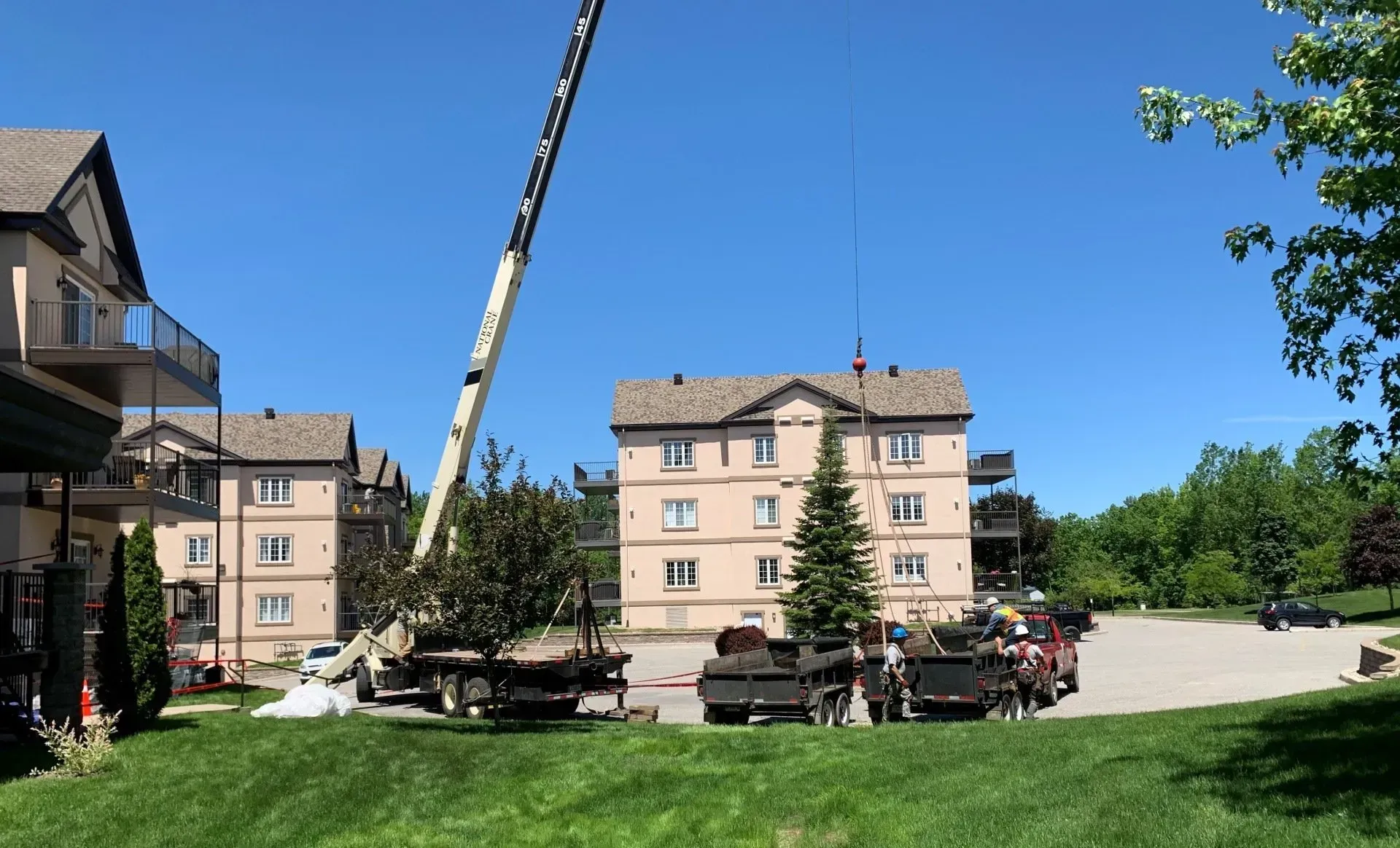 Une grue est utilisée pour soulever un arbre devant un bâtiment.