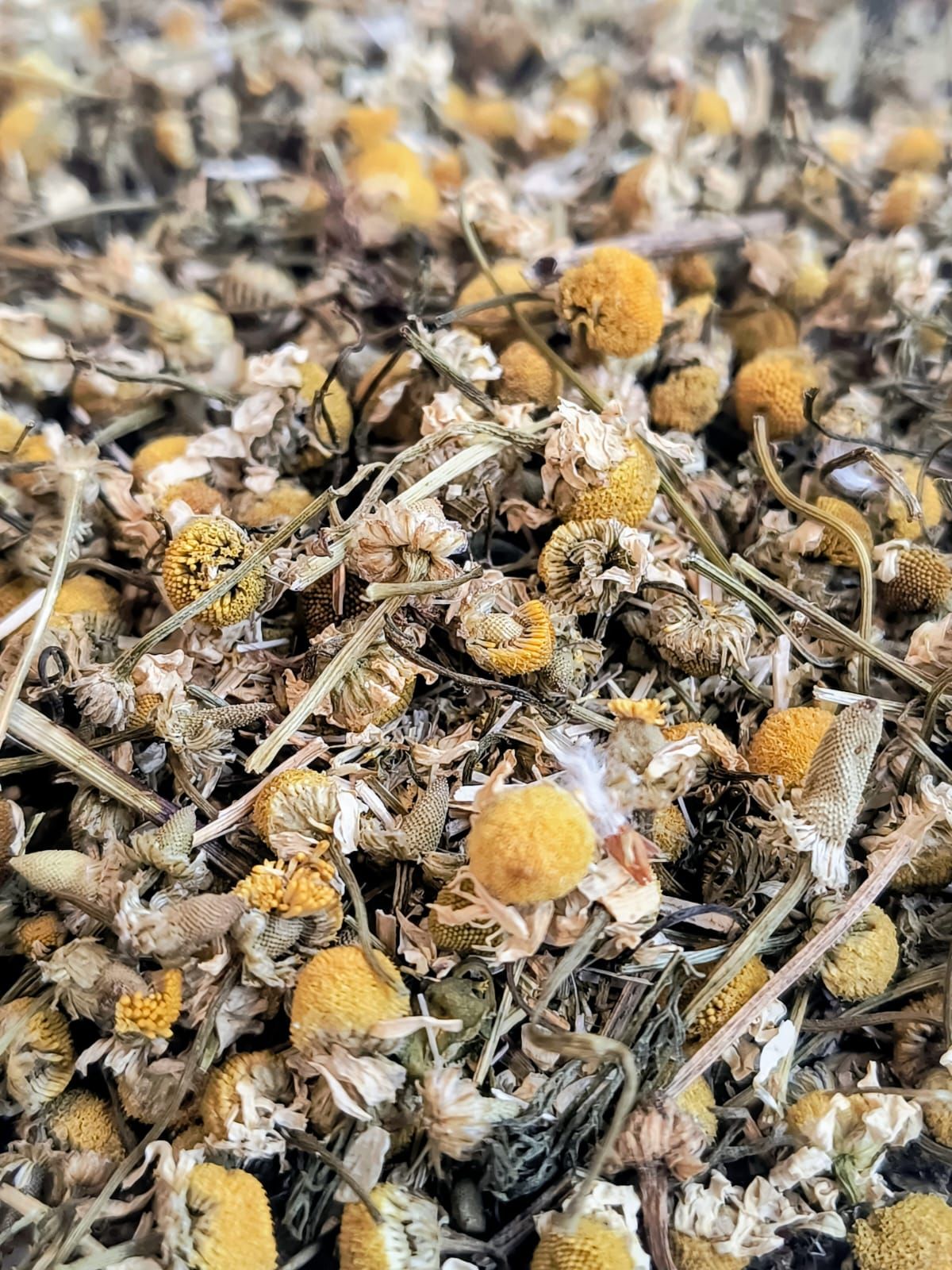 Té de manzanilla seco en una bolsa de plástico transparente con una etiqueta colorida sobre una superficie blanca.