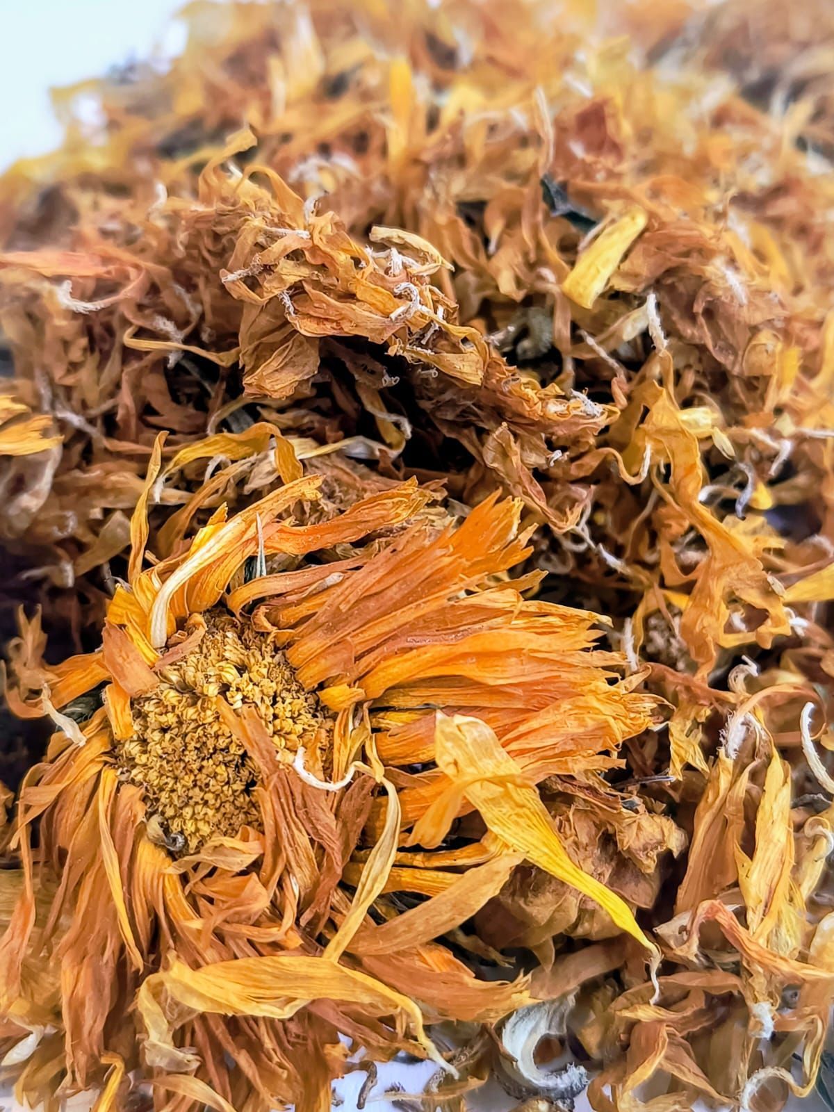 Bolsa de plástico transparente con alimento seco. Etiqueta con el texto