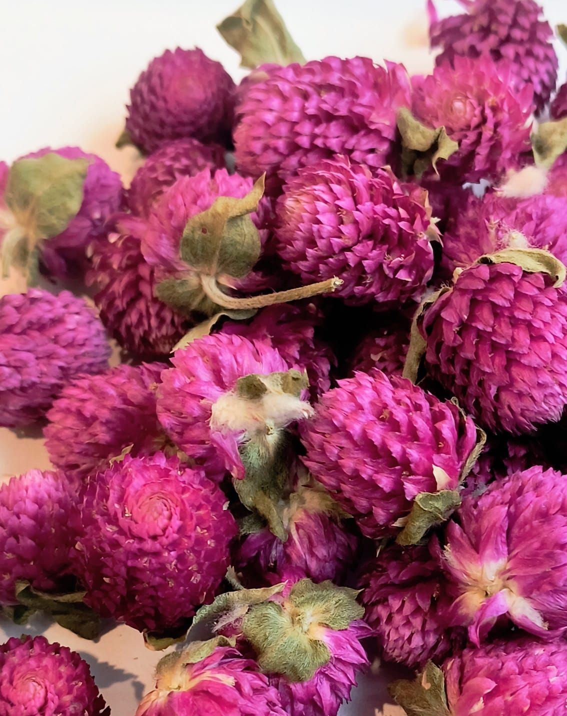 Bolsa de flores secas de amaranto morado, de la marca