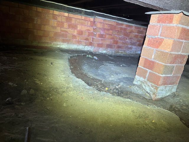 The #1 Defect in Building Inspections — Pro Vision Property Inspections in Merewether, NSW