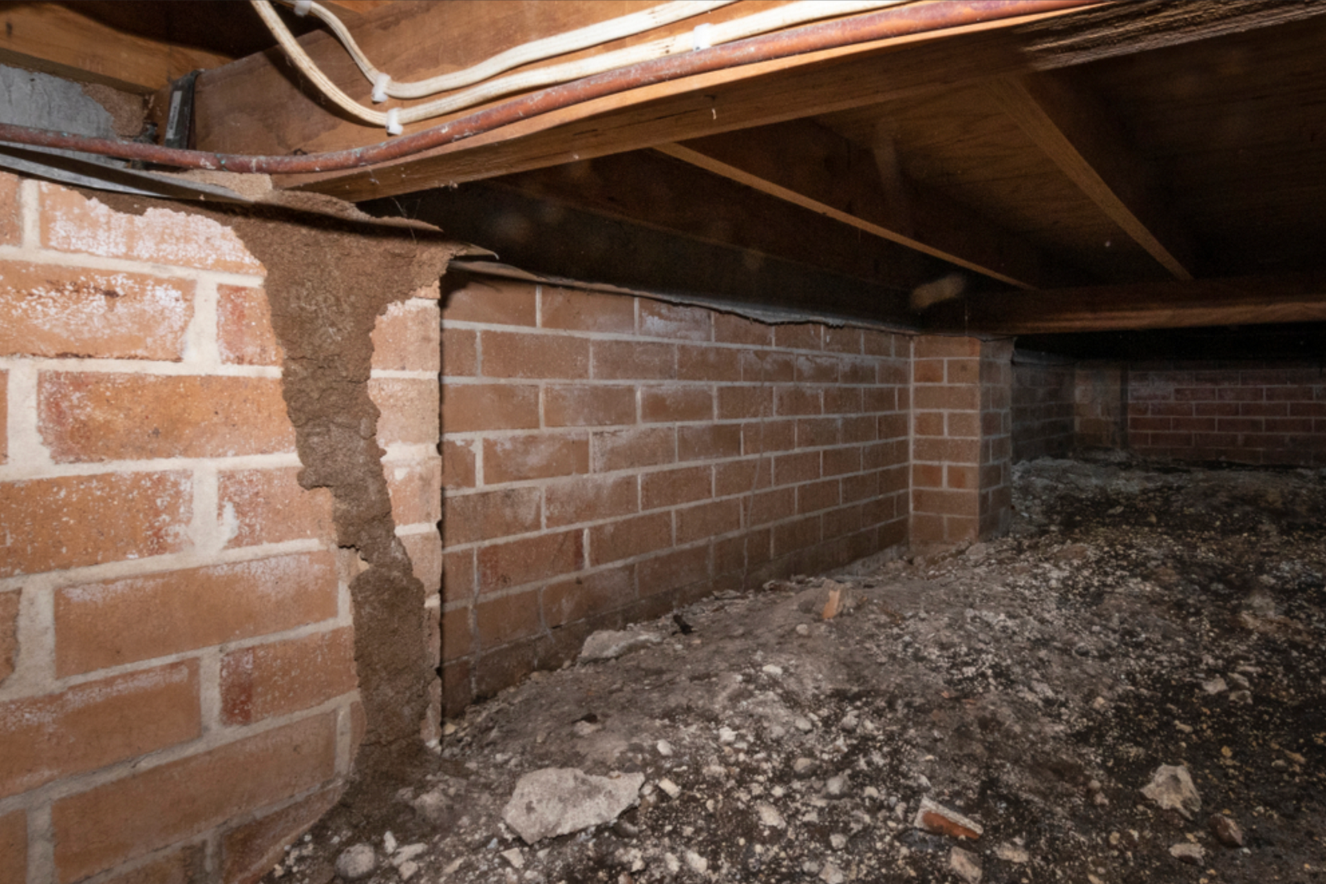 First Home Buyer Inspections — Pro Vision Property Inspections in Merewether, NSW