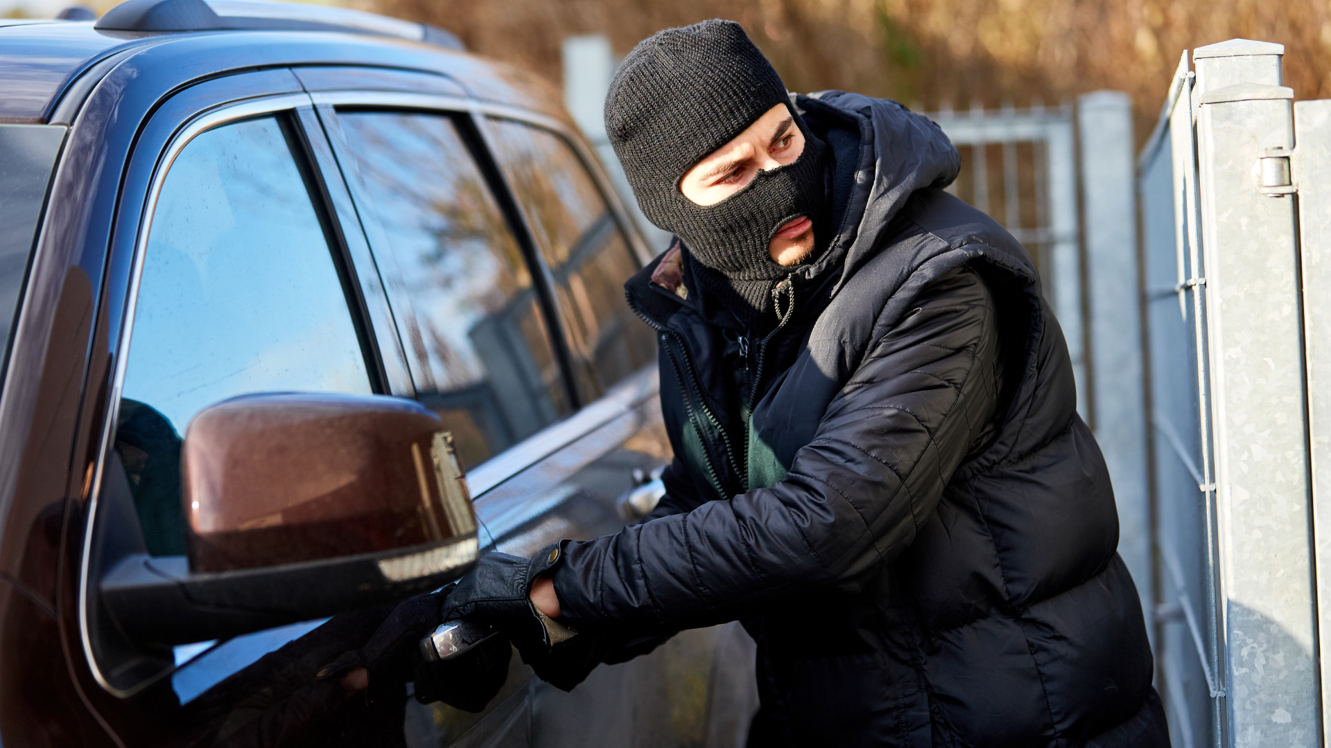 Leah Davis Madden explains Georgia’s felony theft laws for amounts over $500.