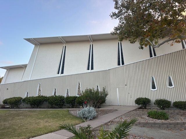 A large white building with a lot of windows and a tree in front of it
