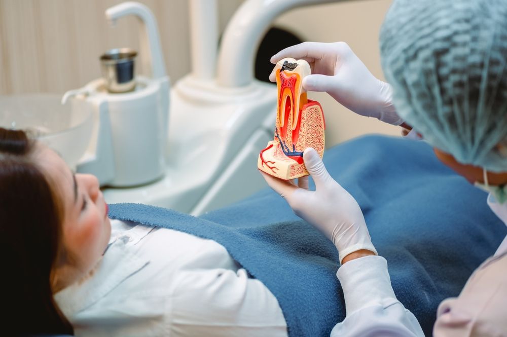 A dentist is holding a model of a tooth in front of a patient.