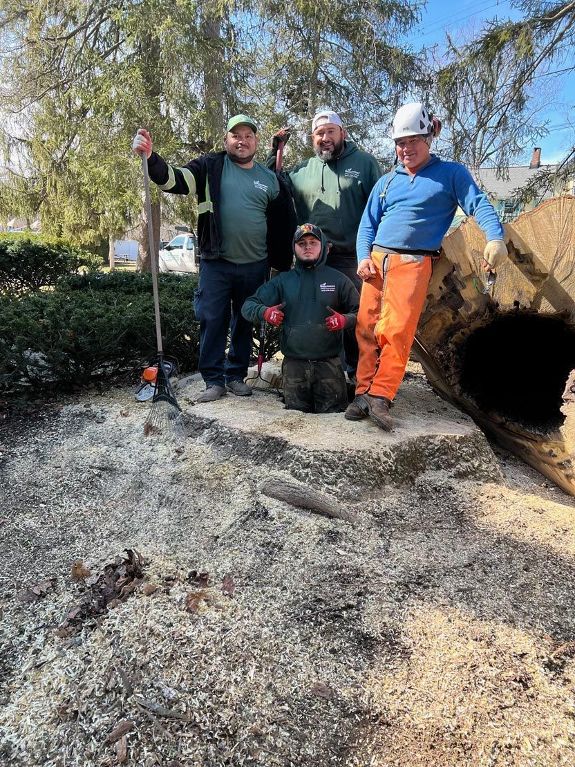 A group of men are standing around a tree stump.