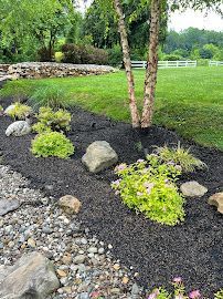 Planting Tree | Reisterstown, MD | Greenmount Lawn