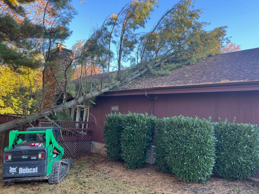 A bobcat is parked in front of a house with a tree fallen on it.