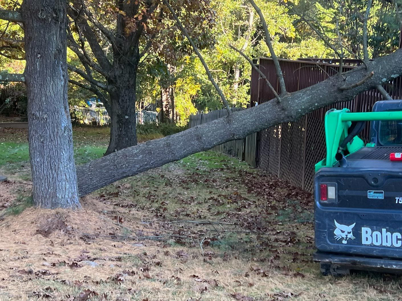 A bobcat truck is parked next to a tree that has fallen on it.