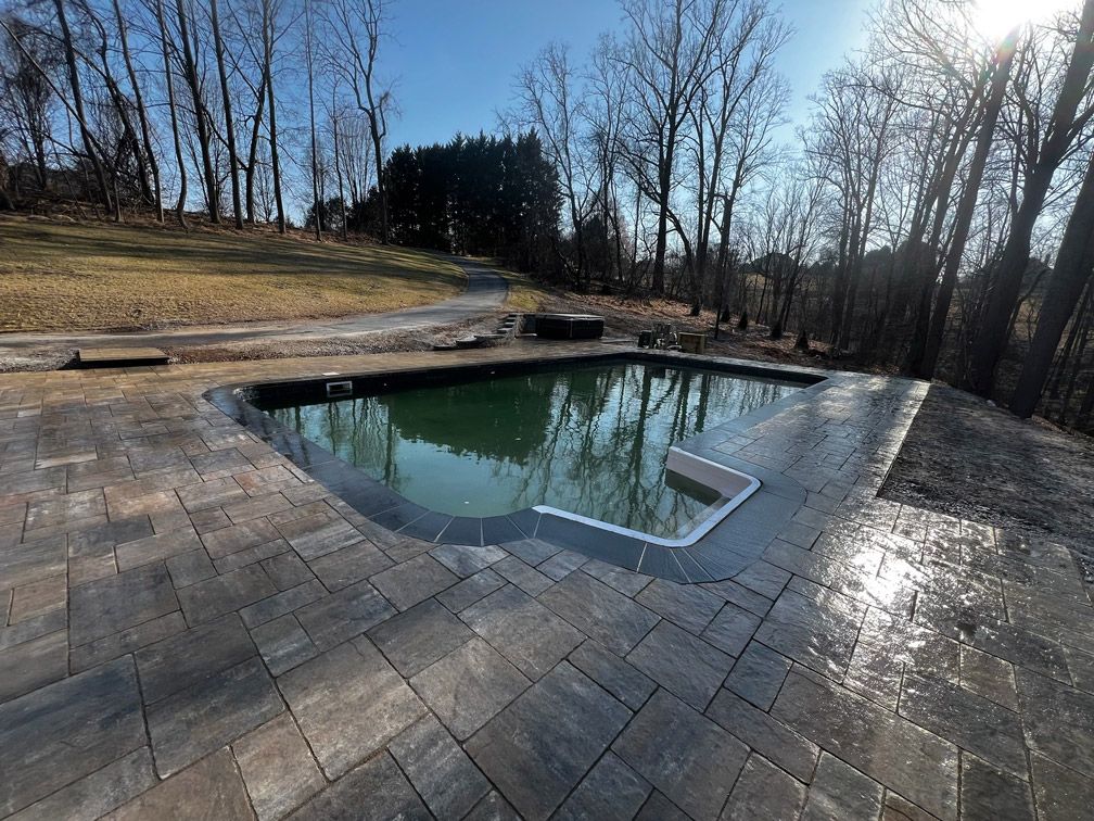 A large swimming pool is surrounded by trees on a sunny day.