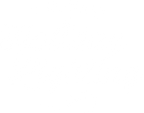 White logo for Visionary Holiday Lighting