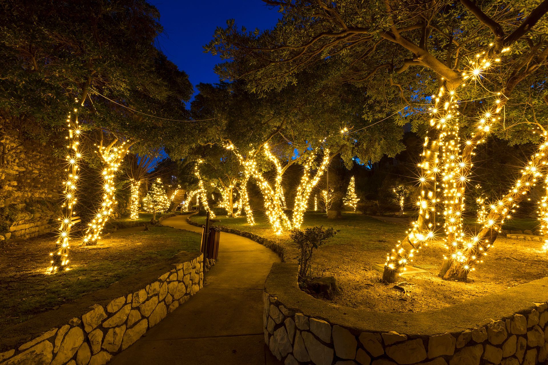 A path surrounded by trees decorated with christmas lights at night.