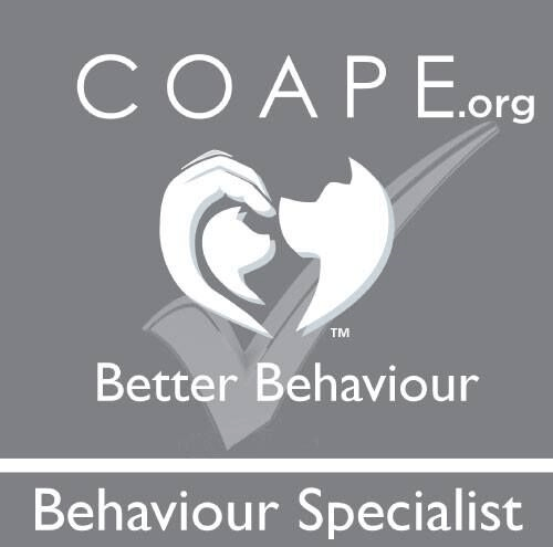 COAPE.org Company Logo