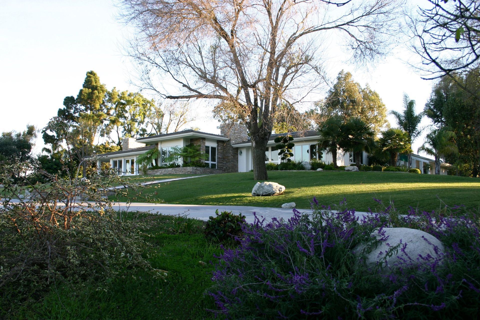 A house with a lot of grass and trees in front of it