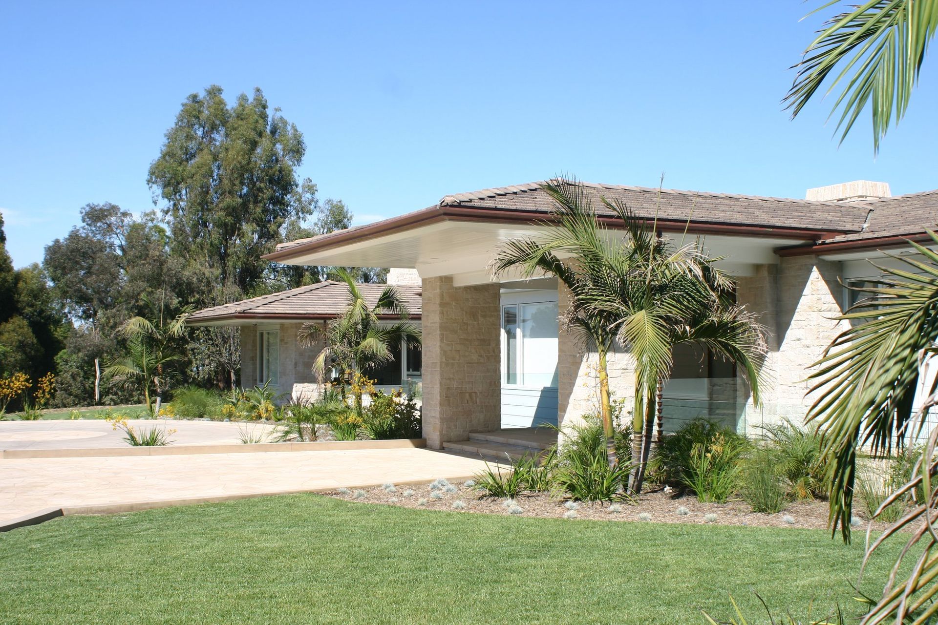 A house with a palm tree in front of it