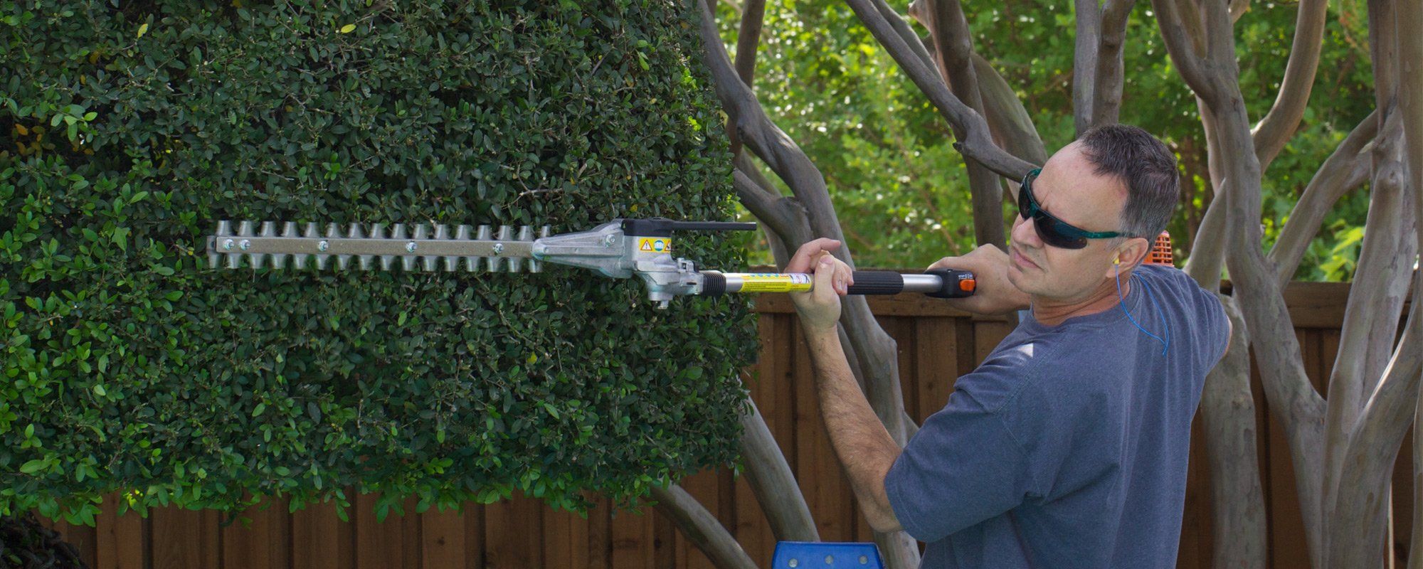 Tree trimming 