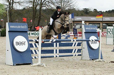 Exam training and competition mentoring