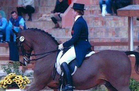 Dressage and show jumping clinics