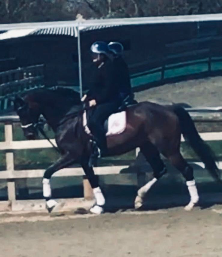 Indoor and outdoor arenas