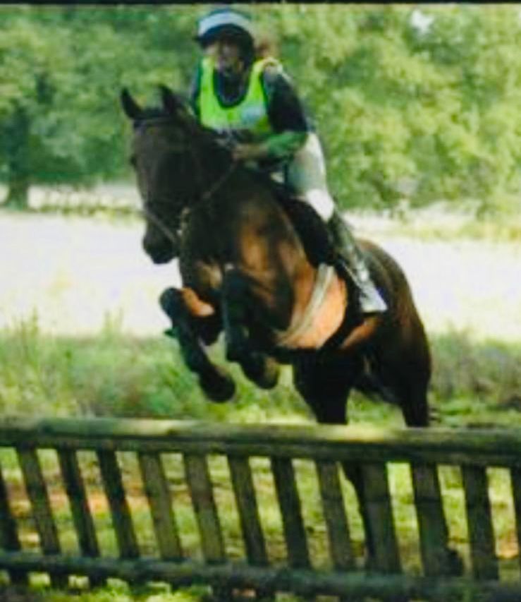 Riding lessons for all ages and levels