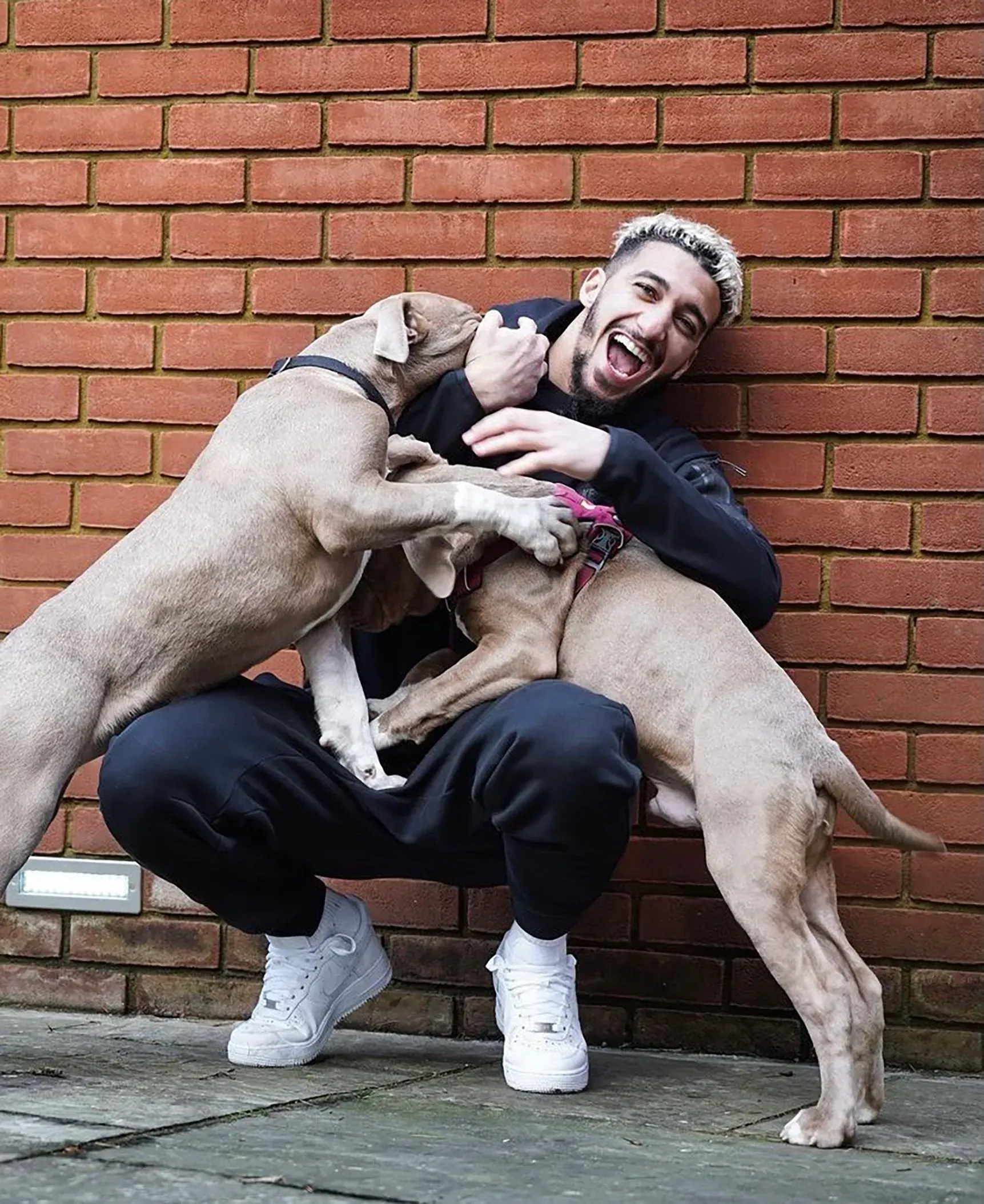 Man smiles, crouched between two dogs playfully nuzzling him by red brick wall.